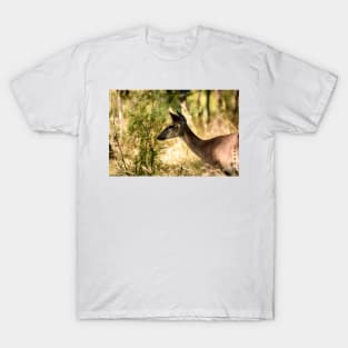 Just Passing Through - Whitetail Deer T-Shirt